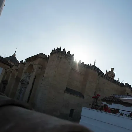 El Pilar Córdoba